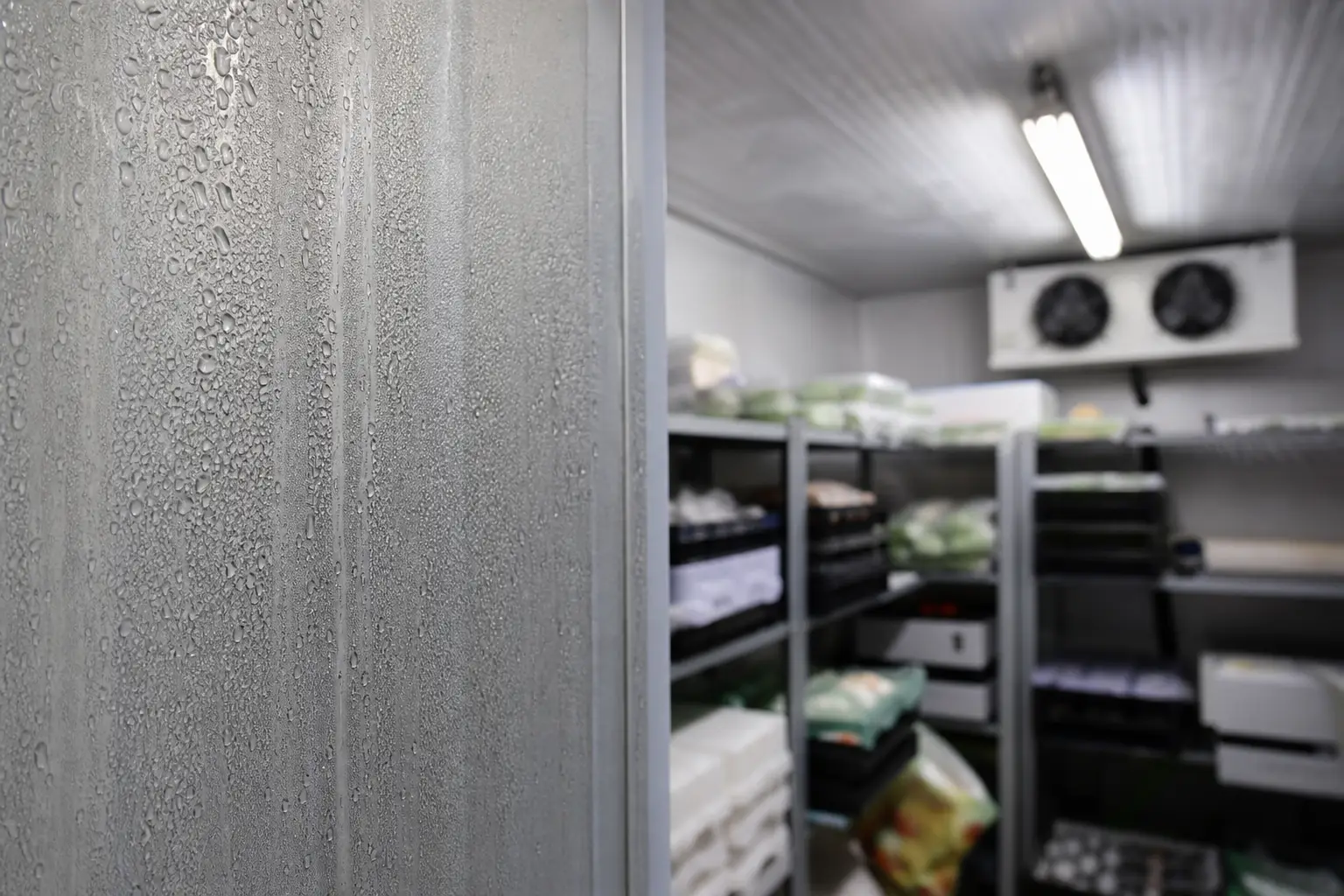 Les Principales Causes de la Condensation en Chambre Froide en Belgique